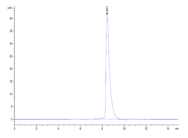 Rat NPR1/NPRA Protein