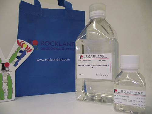 Molecular Biology Grade Ultrapure Water (10 X 100 ml)