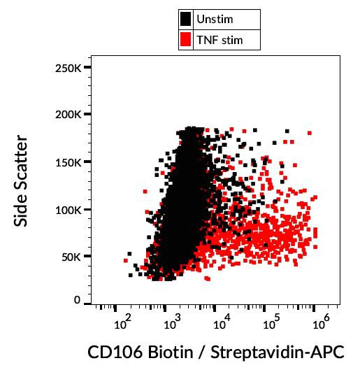 Anti-CD106, clone STA (Biotin)