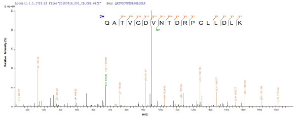 Acyl-CoA-binding protein (Dbi), mouse, recombinant