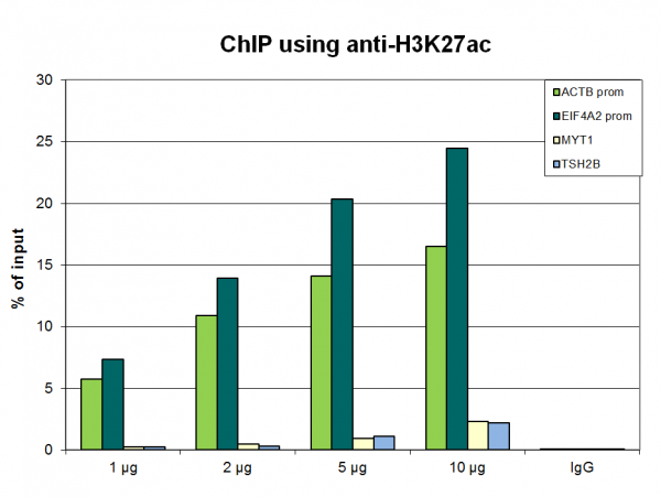 Anti-H3K27ac