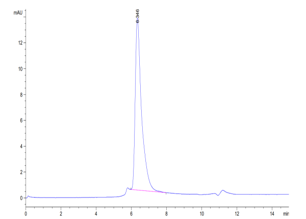 Human CD4/LEU3 Protein
