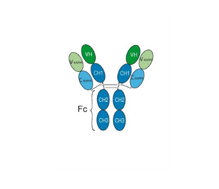 Alirocumab Biosimilar (Human Proprotein Convertase 9/PCSK9 Antibody)