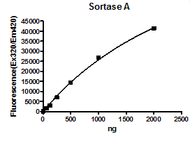 Sortase A, S. aureus recombinant protein, N-terminal His-tag