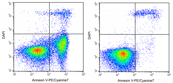 Annexin V-PE/Cyanine7 / DAPI Apoptosis Detection Kit