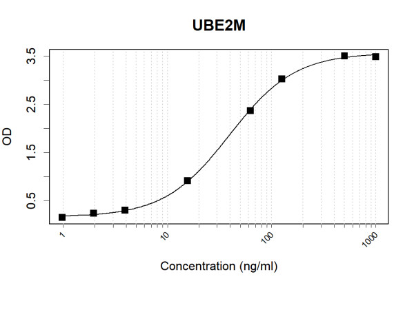 Anti-Human UBE2M Antibody Pair