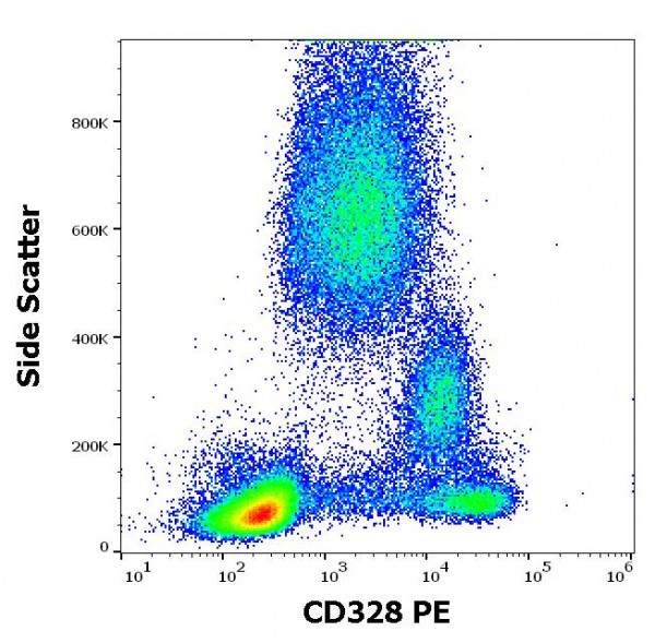 Anti-CD328 / Siglec 7 (PE), clone 6-434