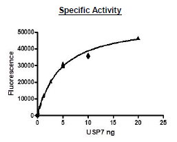 USP7, Active human recombinant protein