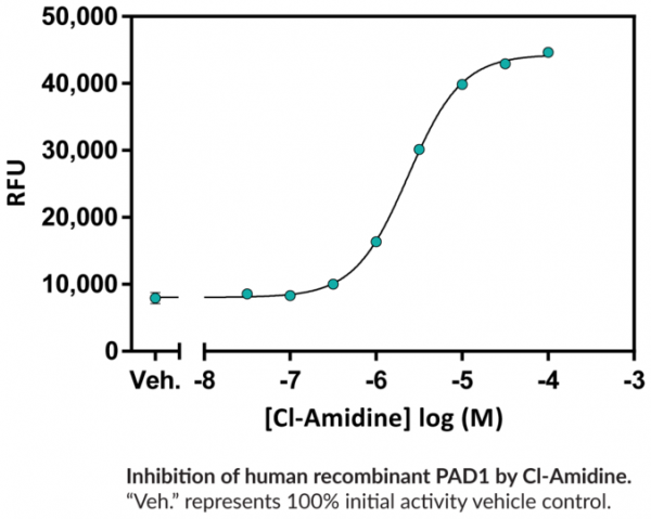 PAD1 Inhibitor Screening Assay Kit (AMC)