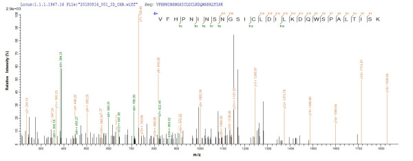 Ubiquitin-conjugating enzyme E2 5A (UBC5A), Oryza sativa subsp. japonica, recombinant