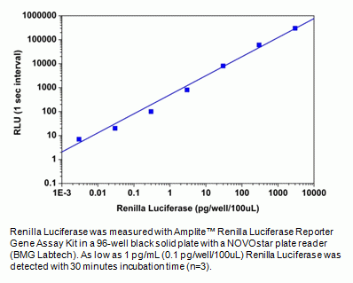 Amplite(TM) Renilla Luciferase Reporter Gene Assay Kit *Bright Glow*