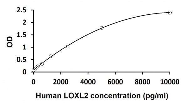 Human LOXL2 ELISA Kit