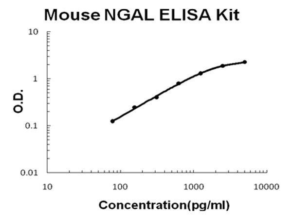 Mouse Lipocalin-2 - NGAL ELISA Kit