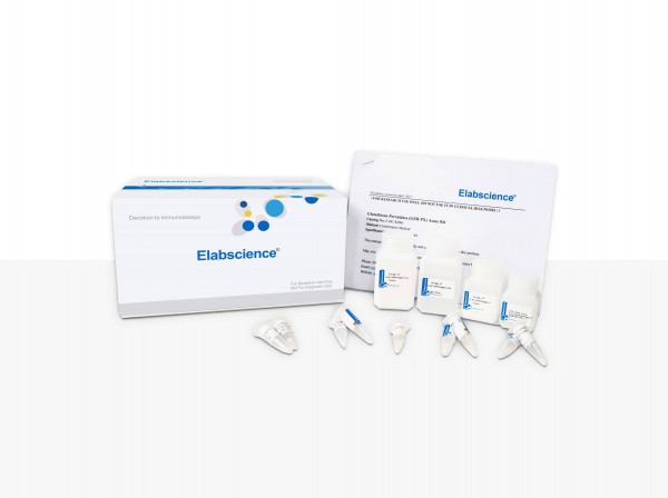 Reduced Glutathione (GSH) Colorimetric Assay Kit | Elabscience | Biomol.com Reduced Glutathione (GSH) Colorimetric Assay Kit | Elabscience | Biomol.com