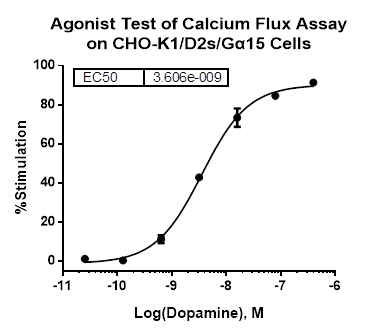 CHO-K1/D2s/Galpha15 Stable Cell Line