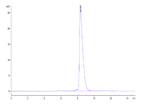 SLAMF1/SLAM/CD150, His, Mouse