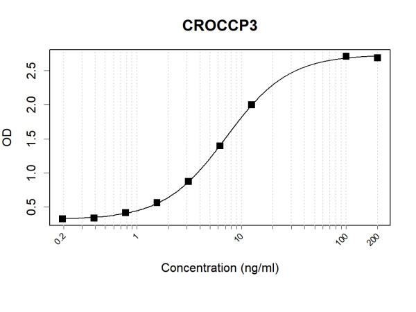 Anti-Human CROCCP3 Antibody Pair