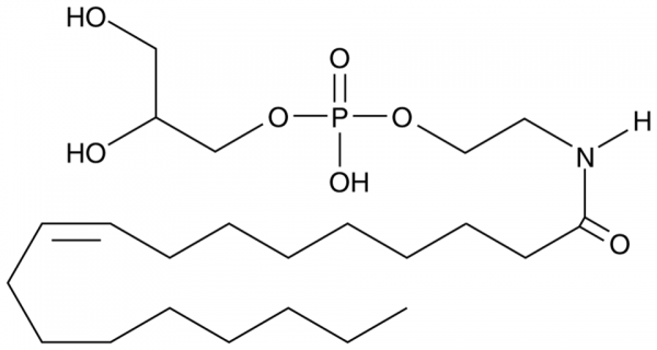 Glycerophospho-N-Oleoyl Ethanolamine