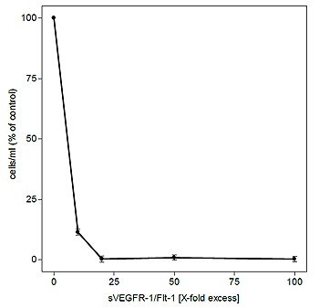 VEGFR-1, Soluble (human) (rec.)
