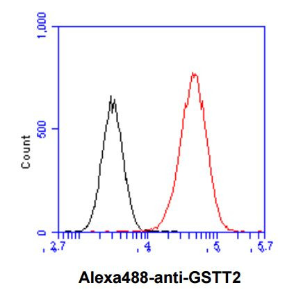 Anti-GSTT2, clone 10H4