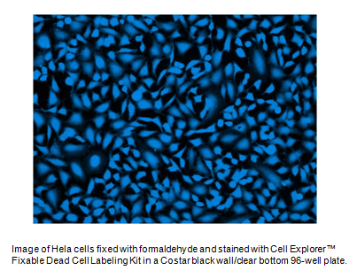 Live or Dead(TM) Fixable Dead Cell Staining Kit *Blue Fluorescence with ...