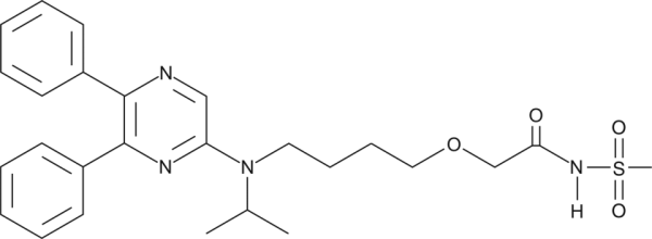 NS 304