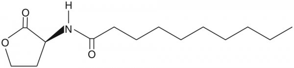 N-decanoyl-L-Homoserine lactone