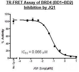 BRD4 (BD1 and BD2) TR-FRET Assay Kit