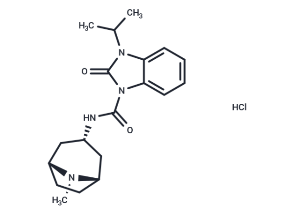 BIMU 8