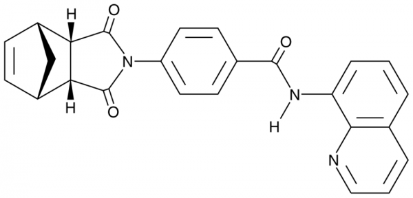 IWR-1-endo