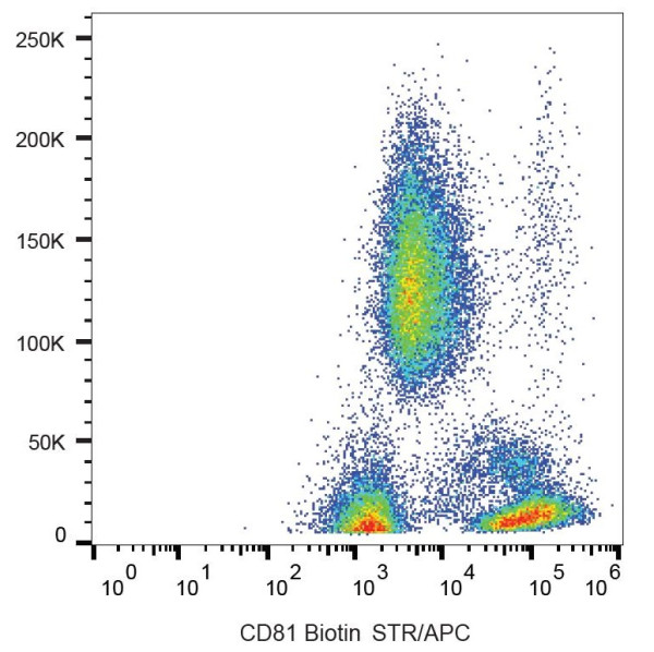 Anti-CD81 (Biotin), clone M38