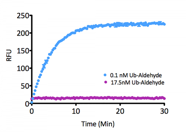 Ubiquitin aldehyde (human) (rec.)