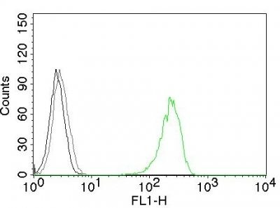 Anti-CD71(DF1513), CF568 conjugate, 0.1mg/mL