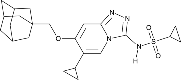 GNE-131