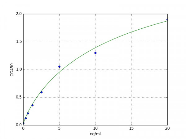 Human HTRA1 / PRSS11 ELISA Kit