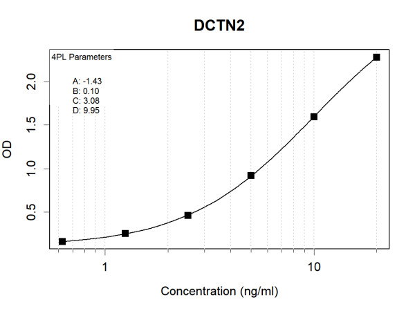 DCTN2 (human) Antibody Pair
