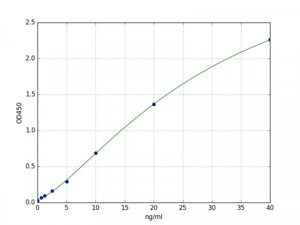 Human Alpha-1B-glycoprotein / A1BG ELISA Kit