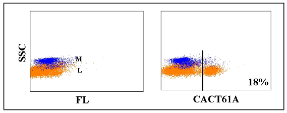 Anti-gamma delta TCR1 delta chain specific (bovine), clone CACT61A