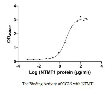 N-terminal Xaa-Pro-Lys N-methyltransferase 1 (NTMT1) (Active), human, recombinant