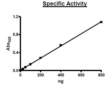 PDE7A, active human recombinant protein