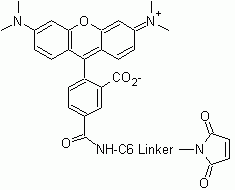 5-TMR C6 malemide