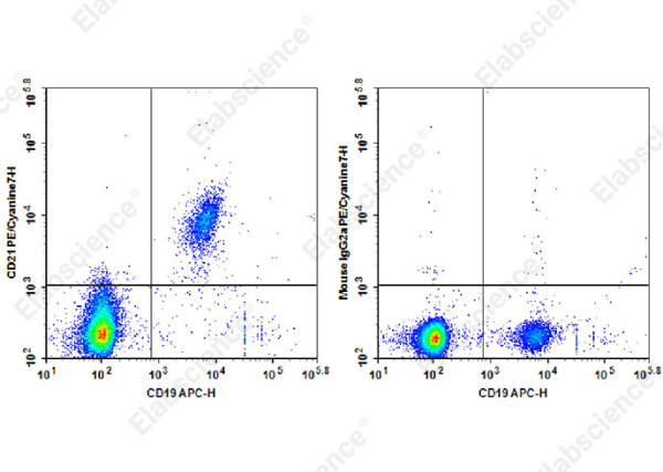 PE/Cyanine7 Anti-Human CD21 Antibody[HB5]
