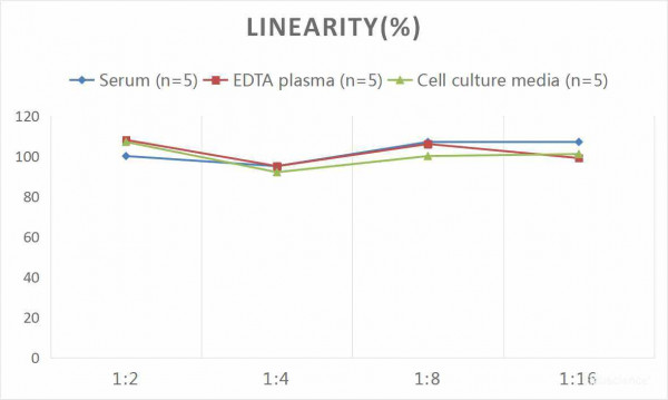 Human NCAM/CD56 (Neural Cell Adhesion Molecule) CLIA Kit