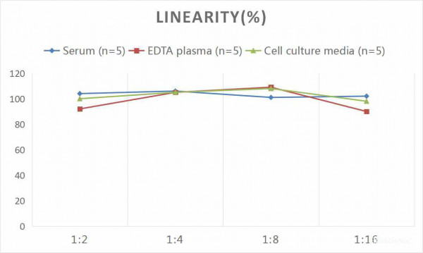 Human HSP-90 (Heat Shock Protein 90) CLIA Kit
