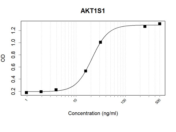 Anti-Human PRAS40 Antibody Pair