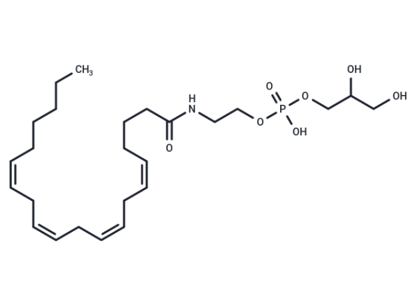 Glycerophospho-N-Arachidonoyl Ethanolamine