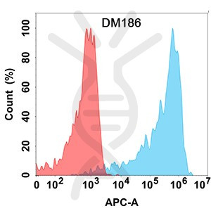 Anti-AMHR2 antibody(DM186), Rabbit mAb