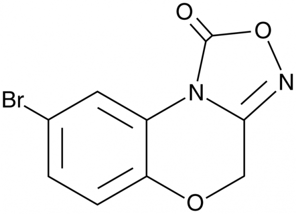 NS 2028