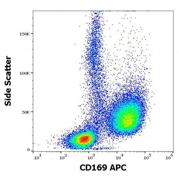 Anti-CD169 / Siglec 1 (APC), clone 7-239
