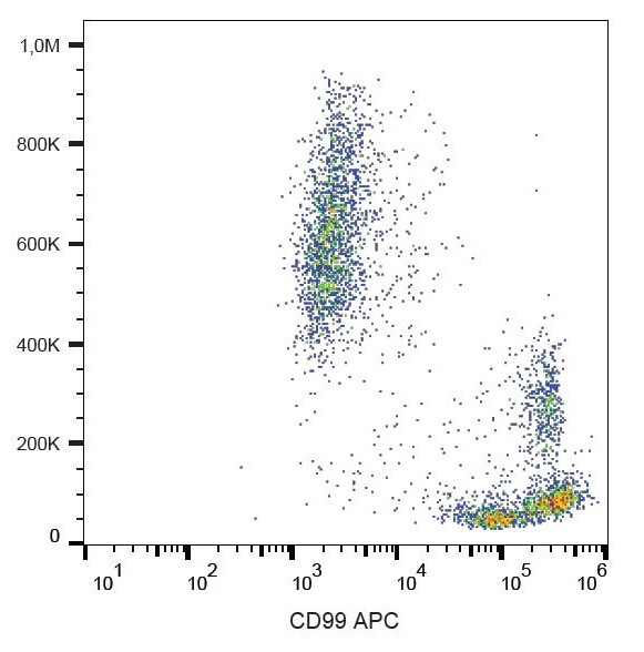 Anti-CD99 (APC), clone 3B2/TA8